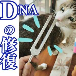 【希少】E324Hz 大型音叉 スピリチュアル　開運　治癒 美しい音色 希少】E324Hz 大型音叉 スピリチュアル 開運 治癒 美しい音色