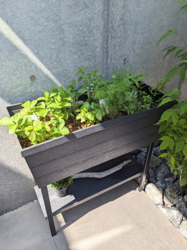 楽天市場】プランター 家庭菜園 スタンド植木鉢 高床式菜園プランター 野菜 ベジタブル プラスチック ベランダ 家庭菜園キット 植木鉢 ガーデン  ガーデニング ケター アーバンブルーマー : DEPOS 2号館