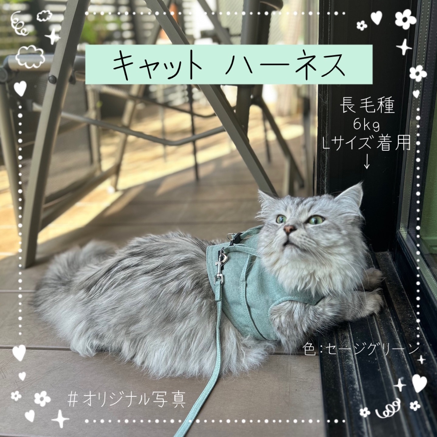 ネコネコ(プロフィール確認お願いします) ねこさん⚡(ΦωΦ) (@catnap707) / X