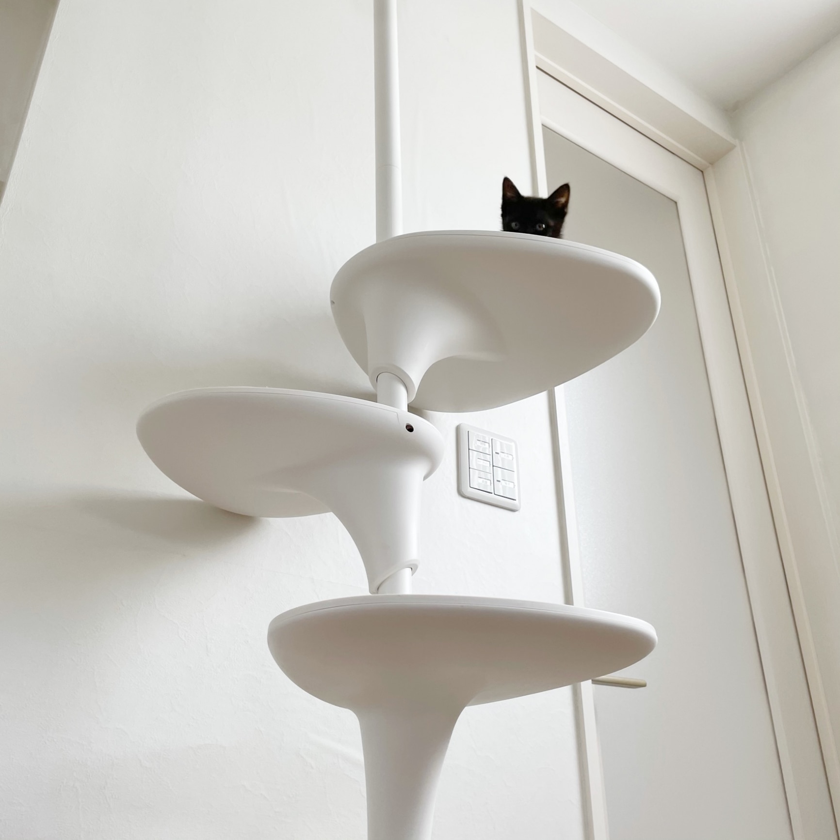 自由自在なキャットタワー♪ 正規品 OPPO(オッポ) フォレスト ツー