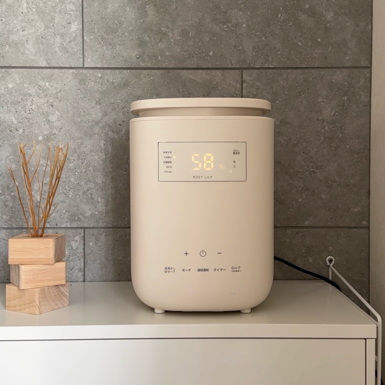 ROSY LILY (ロジーリリー ) スチーム式加湿器 スチーム加湿器 スチーム