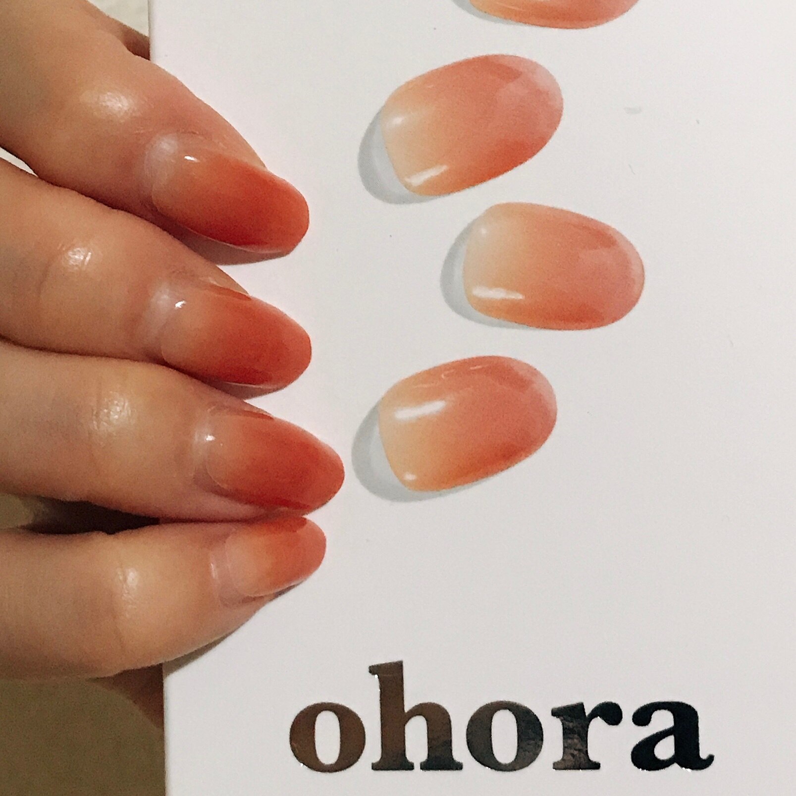 6周年記念イベントが 新品 ohora N Basic Nails no.1 オホーラ 未開封