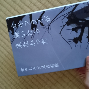 わたしの俳句初心者におすすめな本 Room 欲しい に出会える