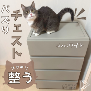 ちょこママさま専用ページ♡ キャスター付き2段チェスト ちょこママさま専用ページ♡ キャスター付き2段チェスト 【公式通販】