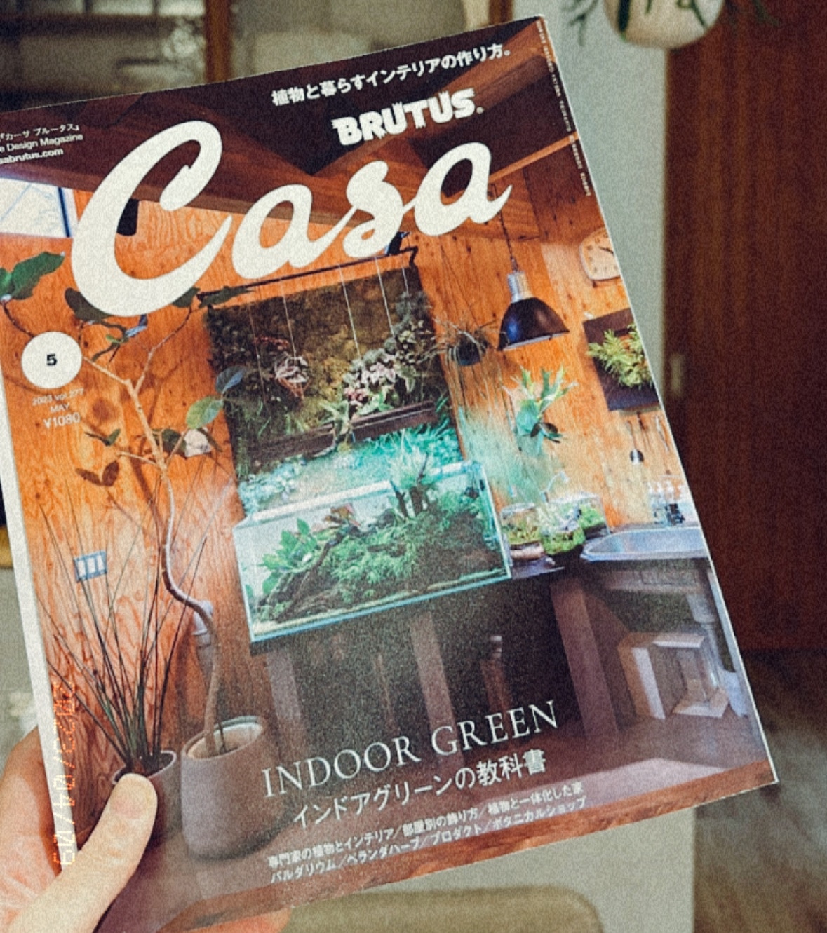 最大92％オフ！ Casa BRUTUS 2023年5月号 6月号2冊セット isyon.istanbul