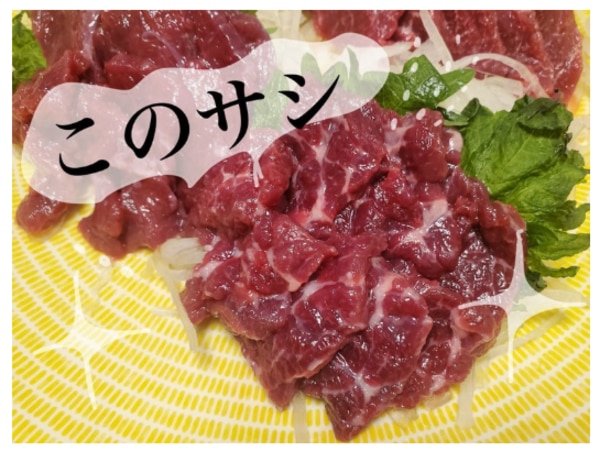 馬刺し 国産 ばさし 熊本 国産馬刺し 馬肉 熊本馬刺し 肉 詰め合わせ
