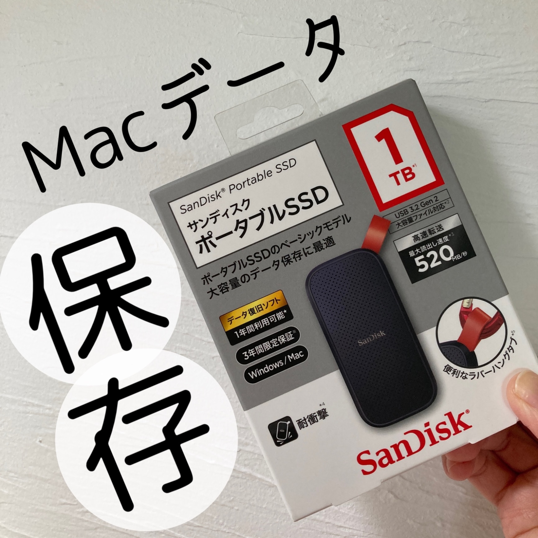 サンディスク ＳａｎＤｉｓｋ ポータブルＳＳＤ １ＴＢ SDSSDE30-1T00