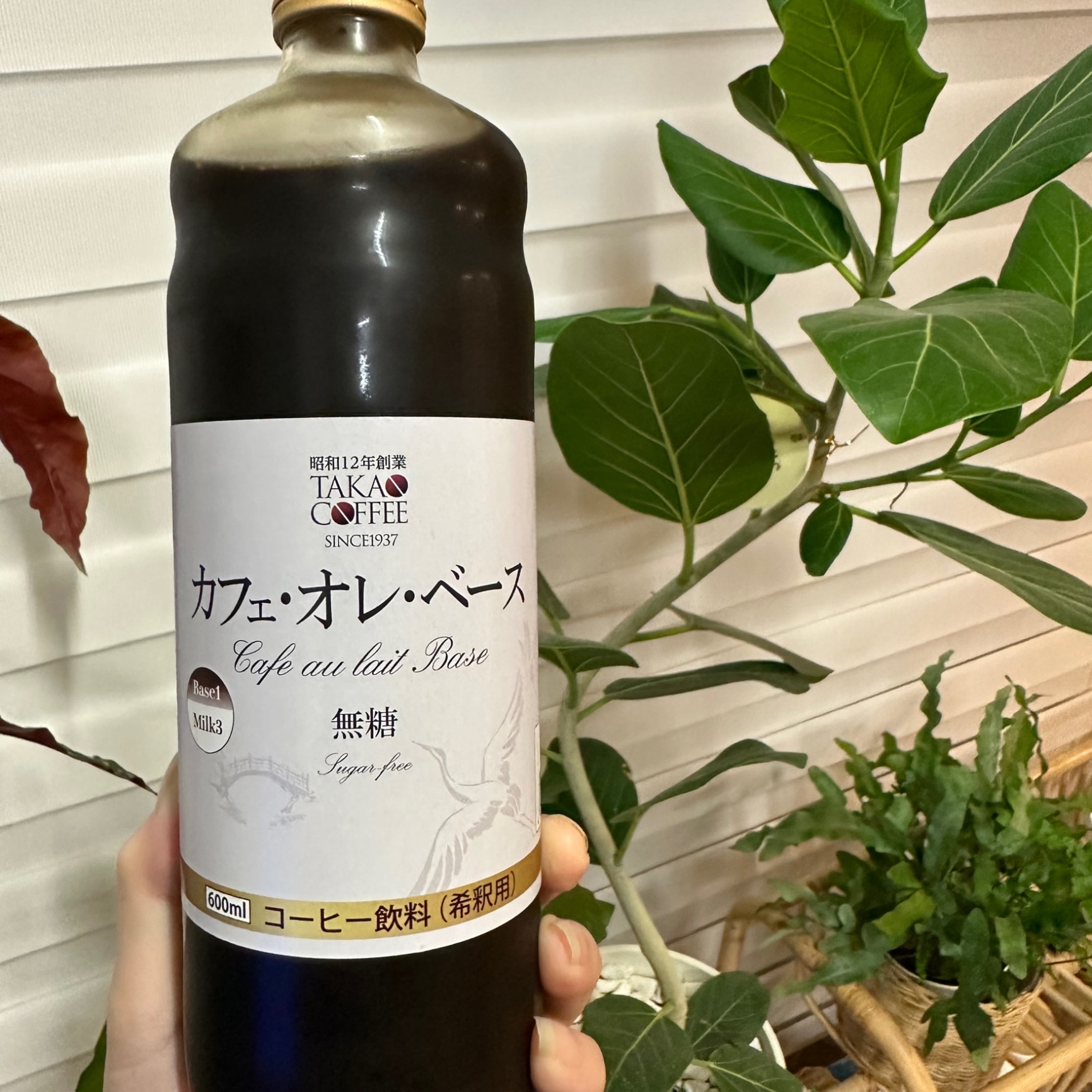 エントリーしてポイント5倍！お買い物マラソン期間中高尾珈琲 カフェ