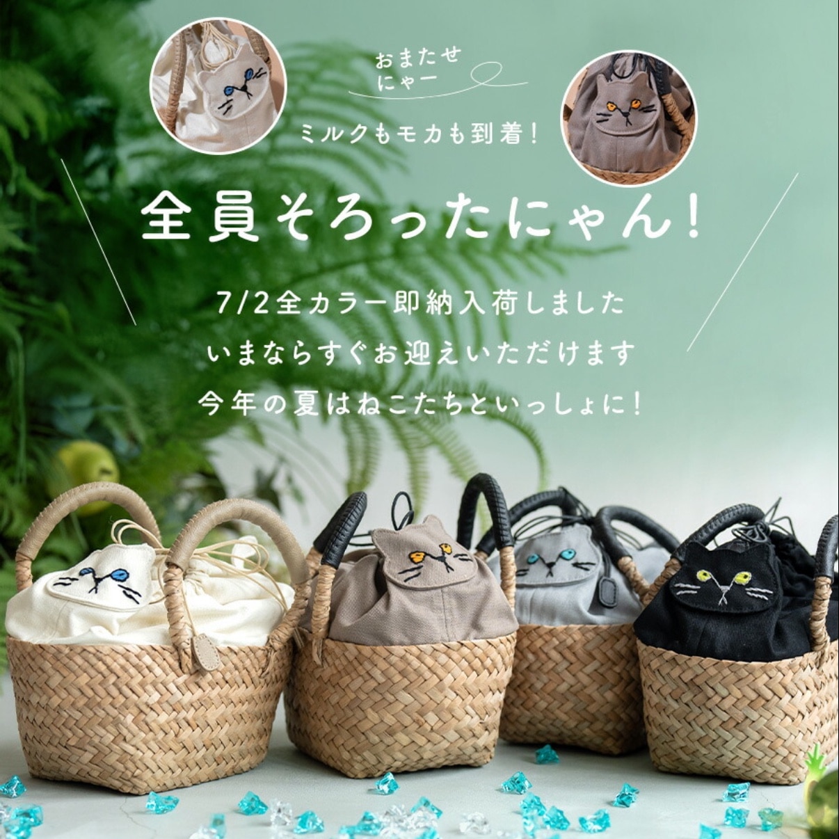 AIM医学研究支援PJ実施中｜ 猫 ねこ かごバッグ レディース