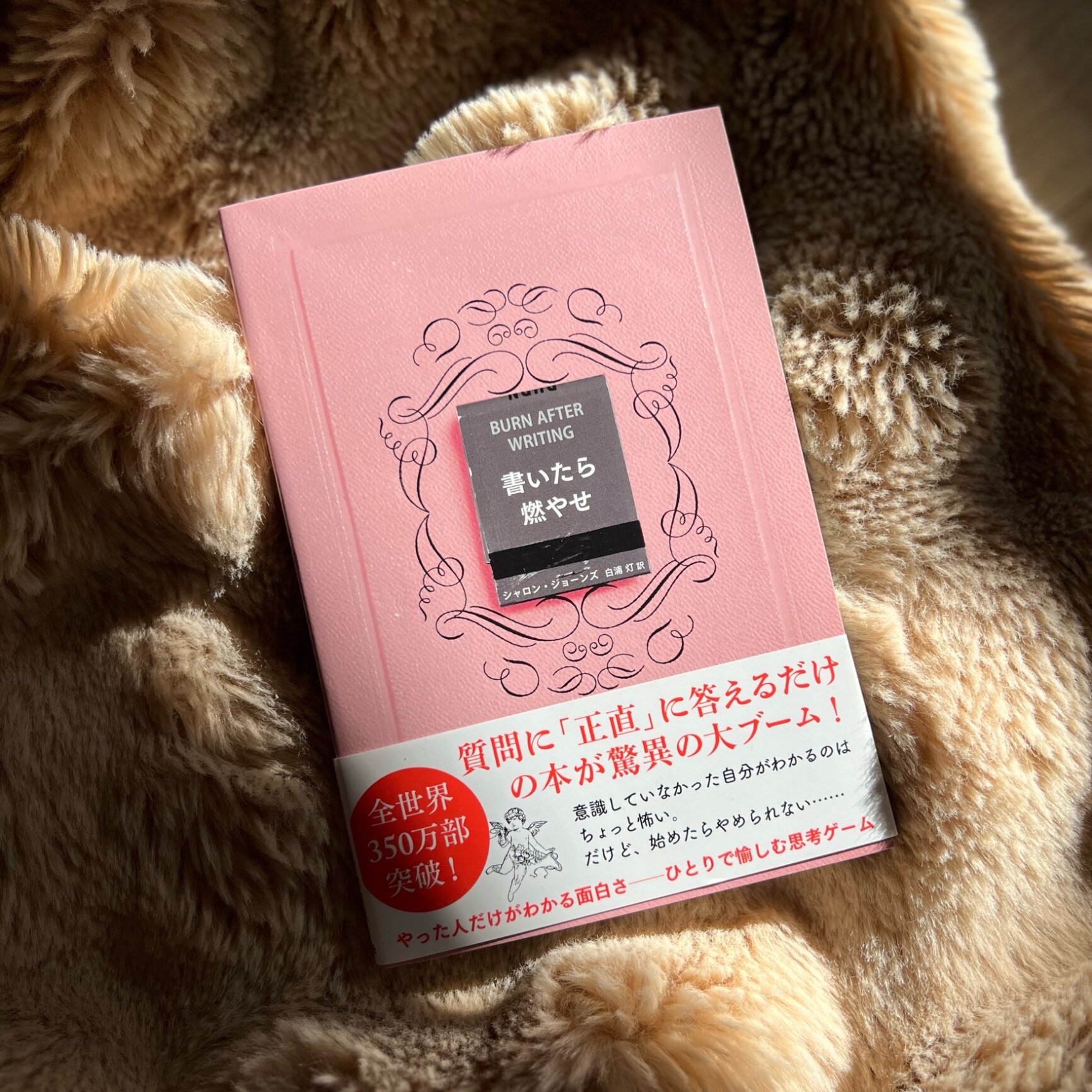 書いたら燃やせ [ シャロン・ジョーンズ ]