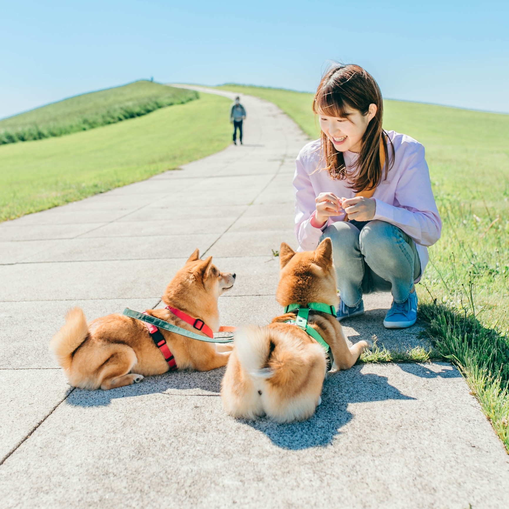 豆柴福と富の飼い主です🐶 のROOM - 欲しい! に出会える。