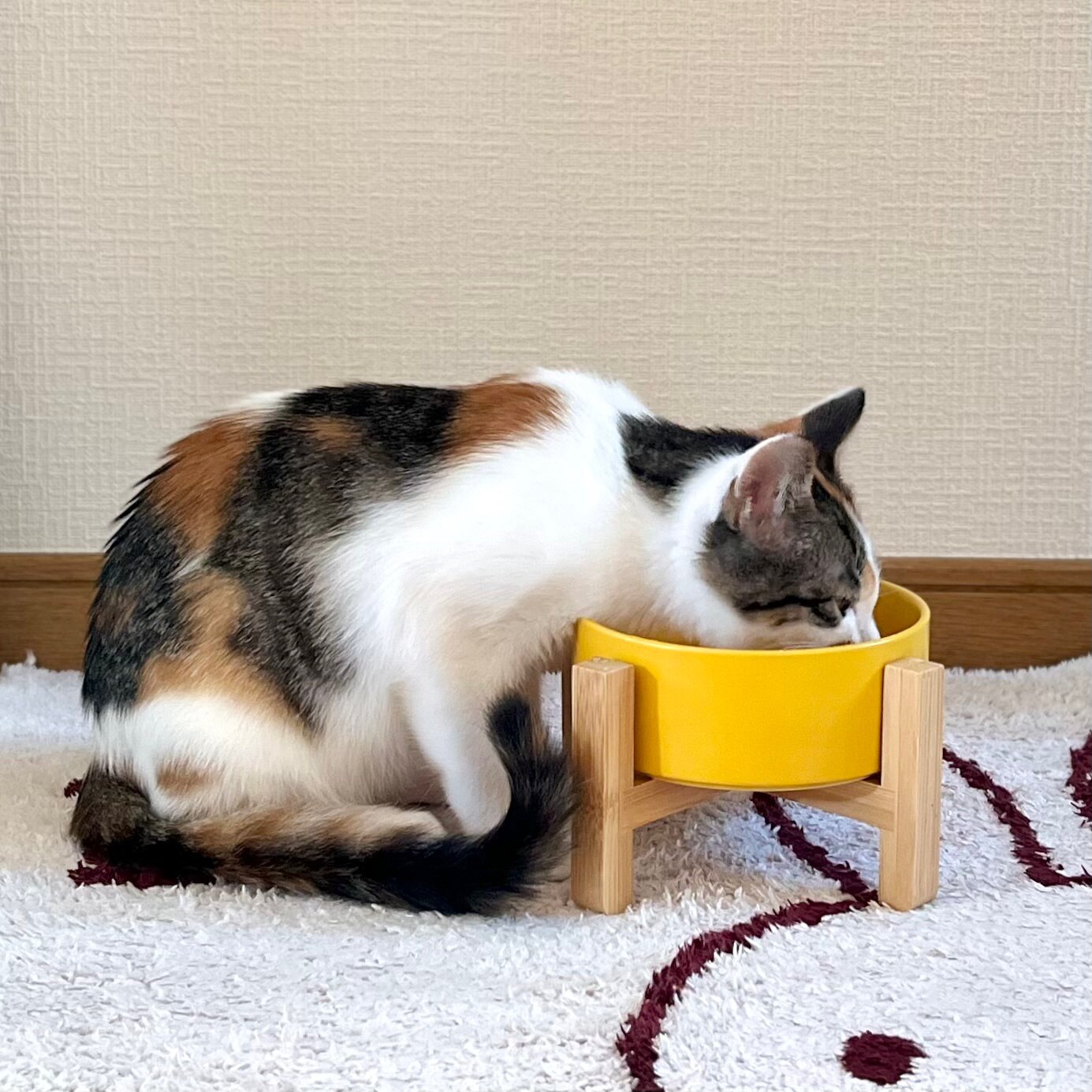 抜群の安定感】猫 餌入れ 食器 ウォーターボウル フードボウル 水飲み