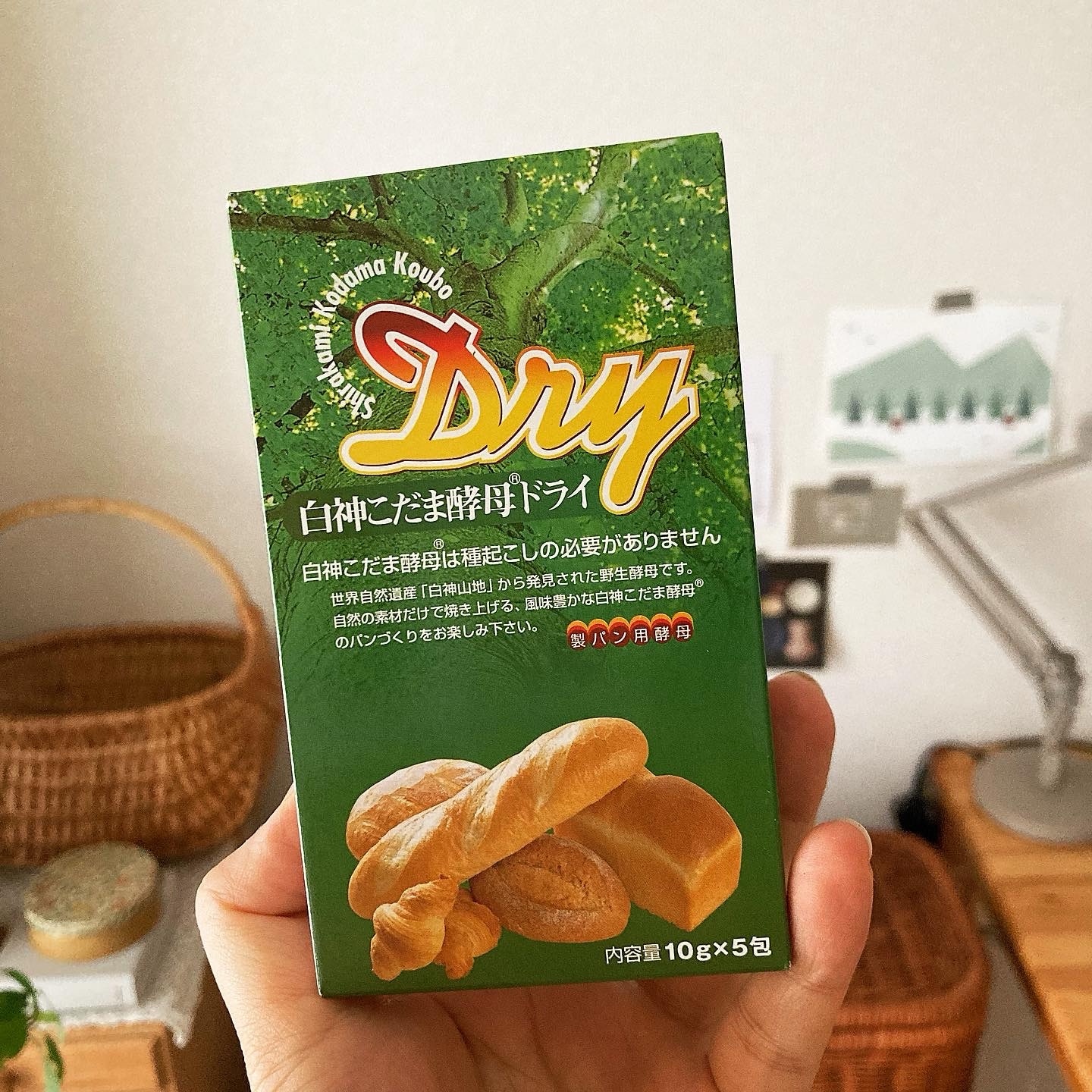 【送料無料】パイオニア　白神 こだま酵母 ドライ（10g×5P）×1箱　 パン作り 天然酵母 ドライイースト 白神こだま酵母ドライ