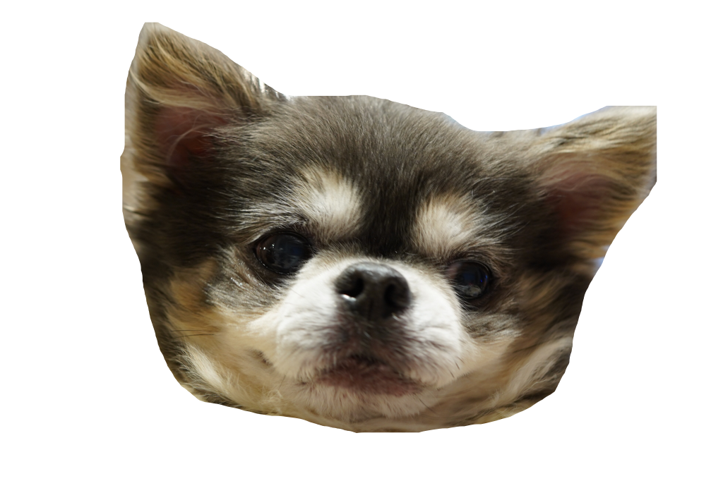 ラズ のroom 欲しい に出会える ラズ のroom 欲しい に出会える