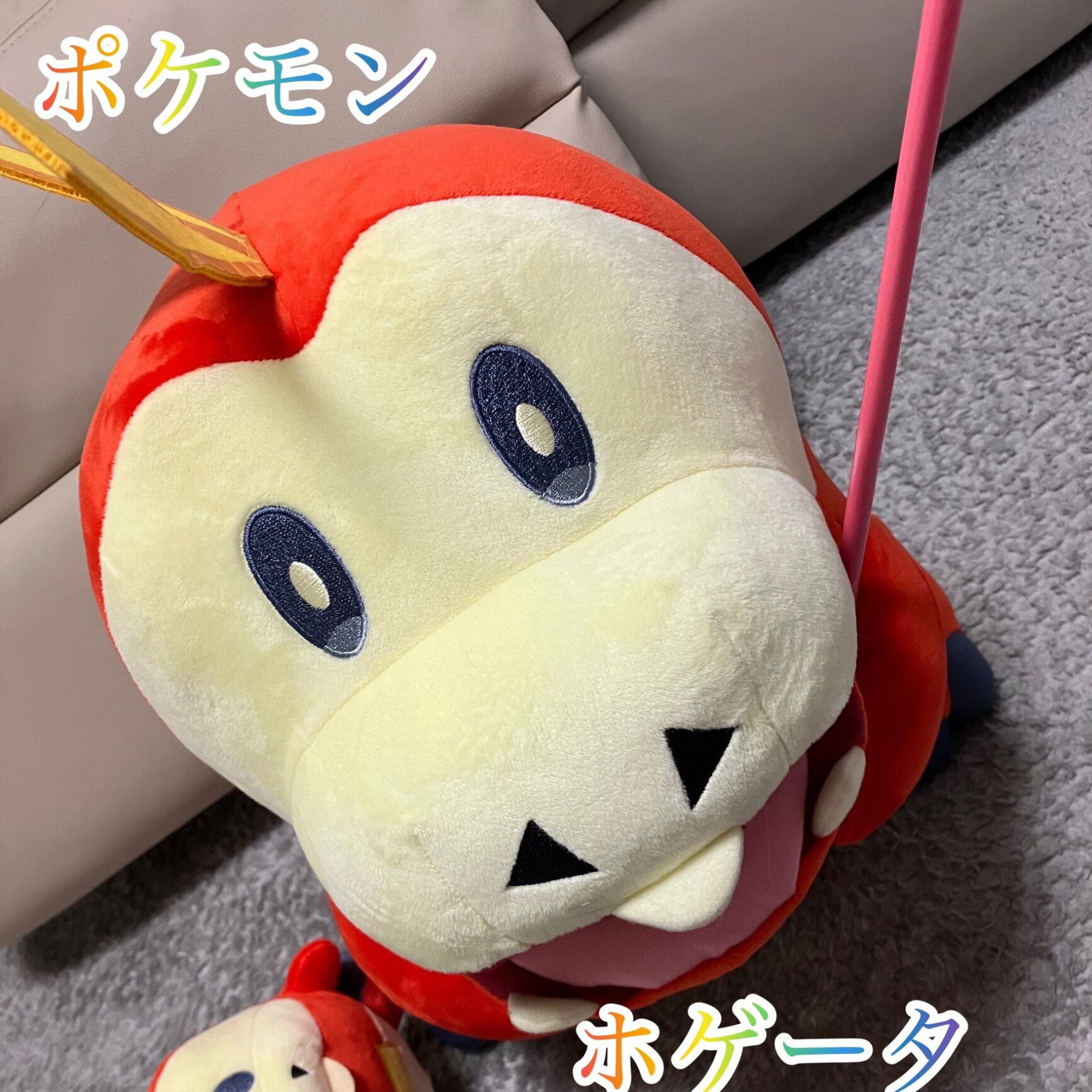 ポケットモンスター ぽてはぐクッション＆マスコット ホゲータ ぽてはぐクッション ホゲータ ｜【公式】ポケモンセンターオンライン