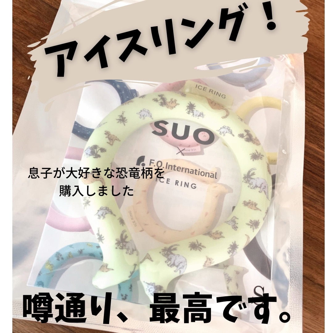 ICE RING アイスリング suo 正規品 キッズ 恐竜 Sサイズ 子供 クール