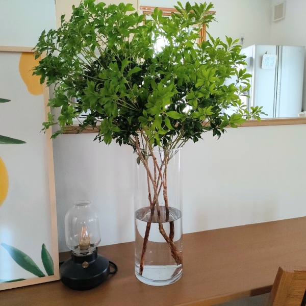 フラワーベース 込み アセビ 枝物 インテリア 装飾 生花 馬酔木 オシャレ 枝 61Fc5zNQiTL._AC_SY200_QL15_.jpg