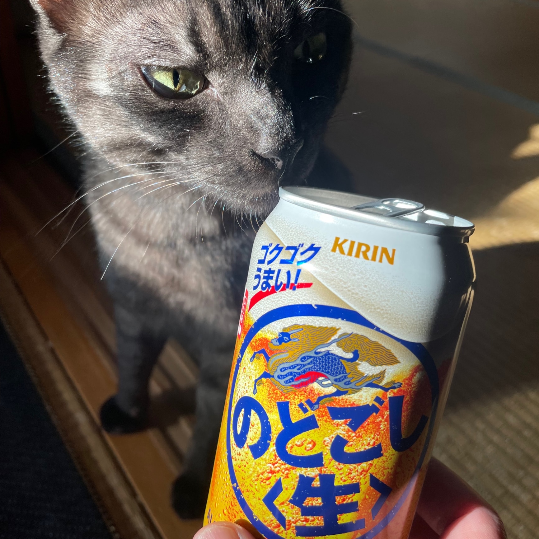 キリンのどごし生350ml.48本 【公式通販】