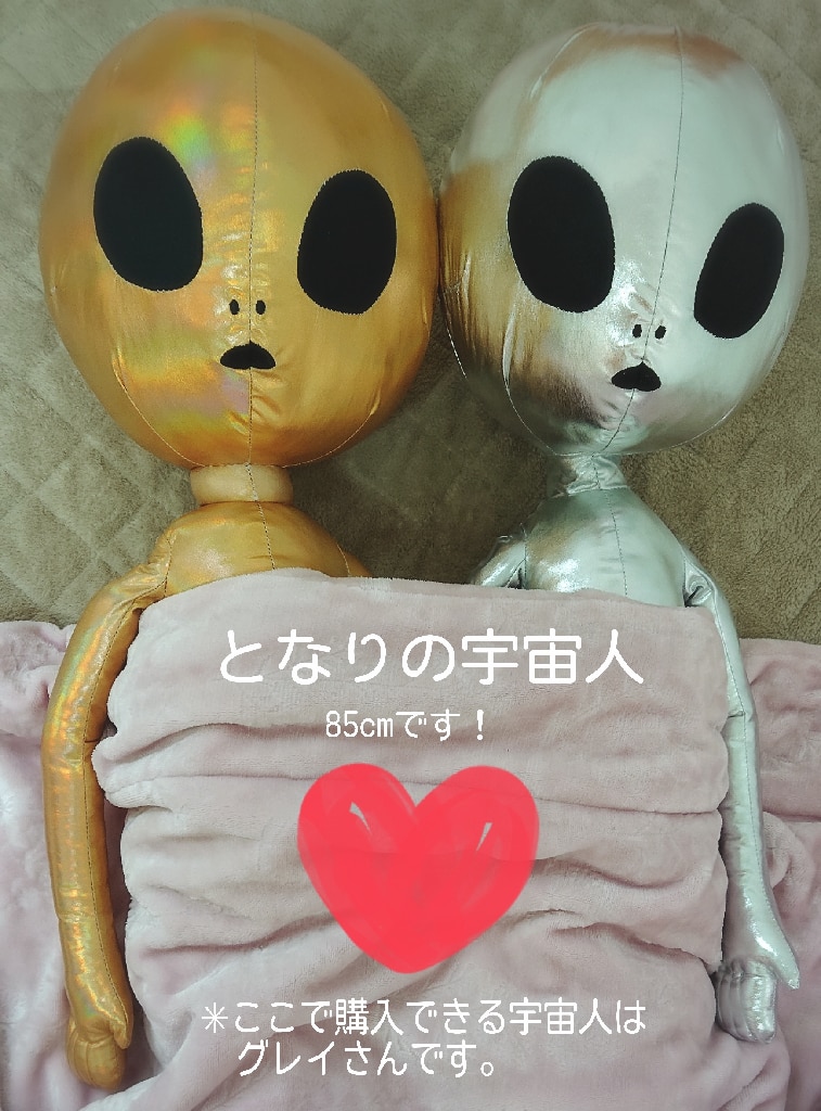 となりの宇宙人でかbig グレイさん 送料無料 宇宙人 エイリアン 人形 玩具 おもちゃ ぬいぐるみ キャラクターグッズ