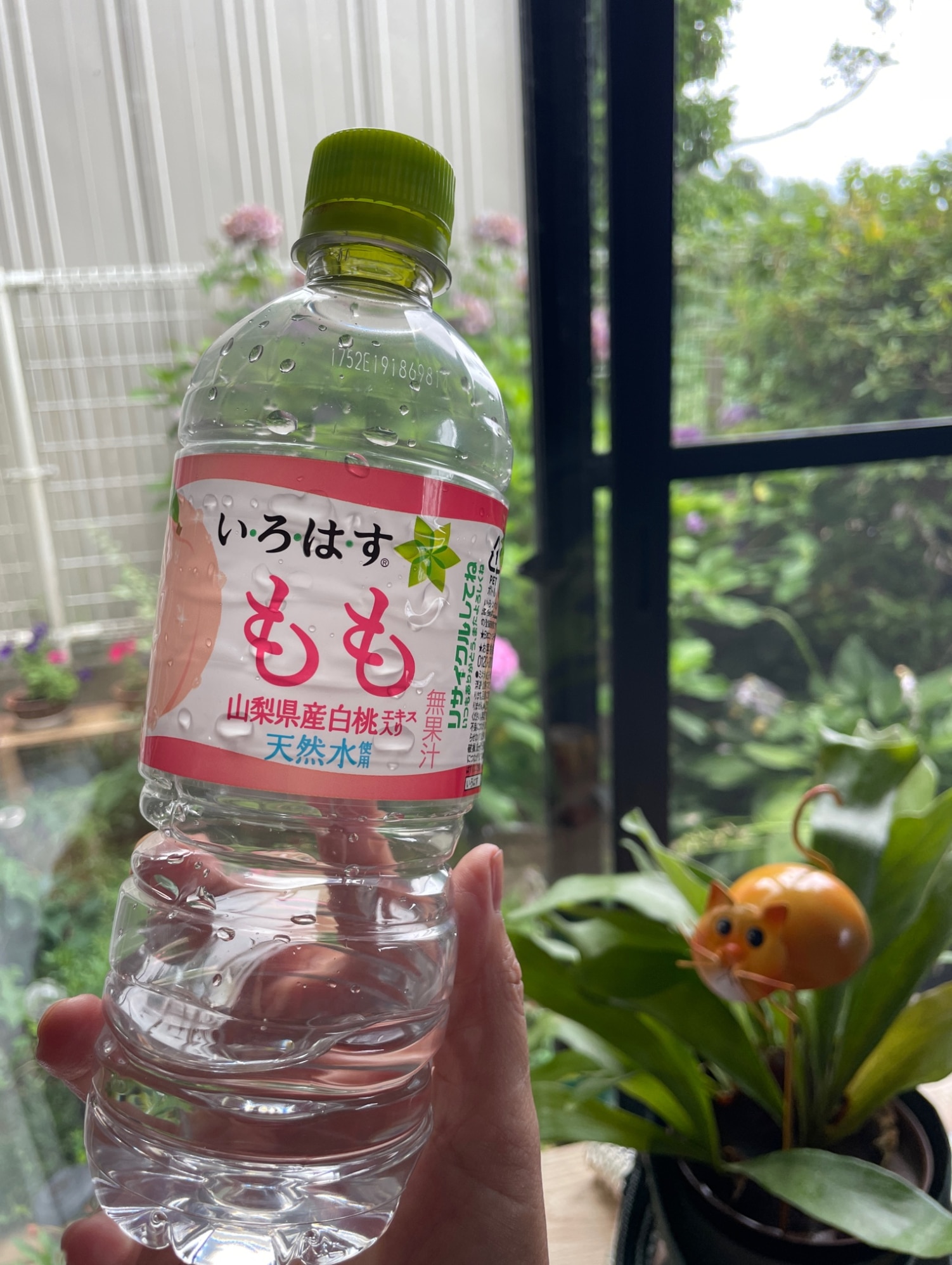 【日本全国送料無料】コカ・コーラ（コカコーラ）い・ろ・は・す もも（いろはす 桃）555mlPET×24本（1ケース）販売