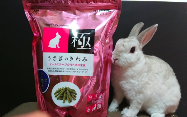 ハイペット うさぎのきわみ 850g グルテンフリー ペレット