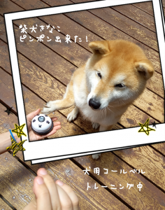 Room 検索結果 Room 検索結果