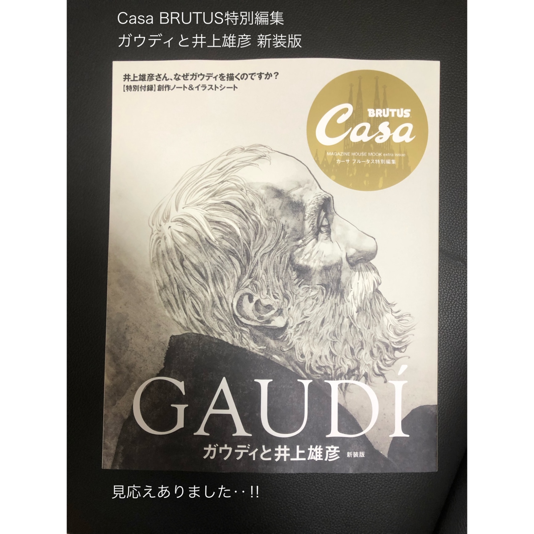 Casa BRUTUS特別編集 ガウディと井上雄彦 新装版