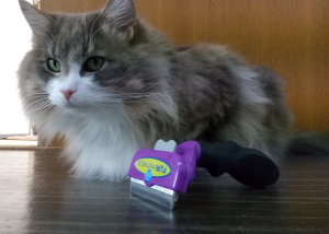 ファーミネーター 大型猫 Lサイズ 長毛種用 正規品 1コ入 2sh24 ファーミネーター Room 欲しい に出会える