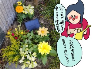 花苗 選べる花ガーデニング 季節の花苗セット 春の花 母の日 ギフト カーネーション 福袋 花壇 花 送料無料 花 お母さん 誕生日プレゼント 花 贈り物 苗物 大苗 寄せ植え 宿根草 多年草 一年草 花 フラワー 庭 手入れ 店舗花壇 苗セット Room 欲しい に出会える 花苗 選べる花ガーデニング 季節の花苗セット 春の花 母の日 ギフト カーネーション 福袋 花壇 花 送料無料 花 お母さん 誕生日プレゼント 花 贈り物 苗物 大苗 寄せ植え 宿根草 多年草 一年草 花 フラワー 庭 手入れ 店舗花壇 苗セット Room 欲しい に出会える