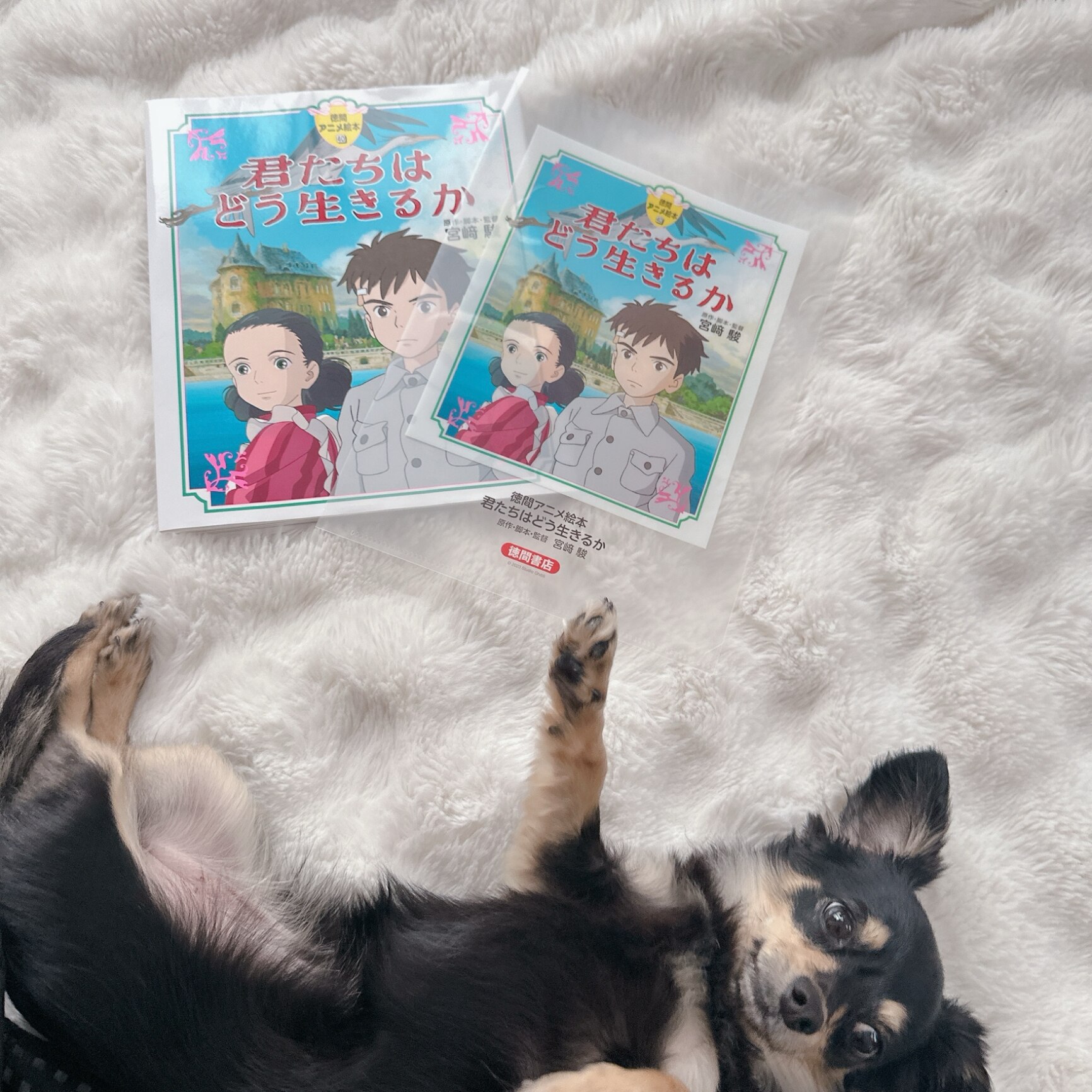 ② 台湾 君たちはどう生きるか 劇場 特典 A3 両面印刷 ポスター ジブリまみれ on X: 