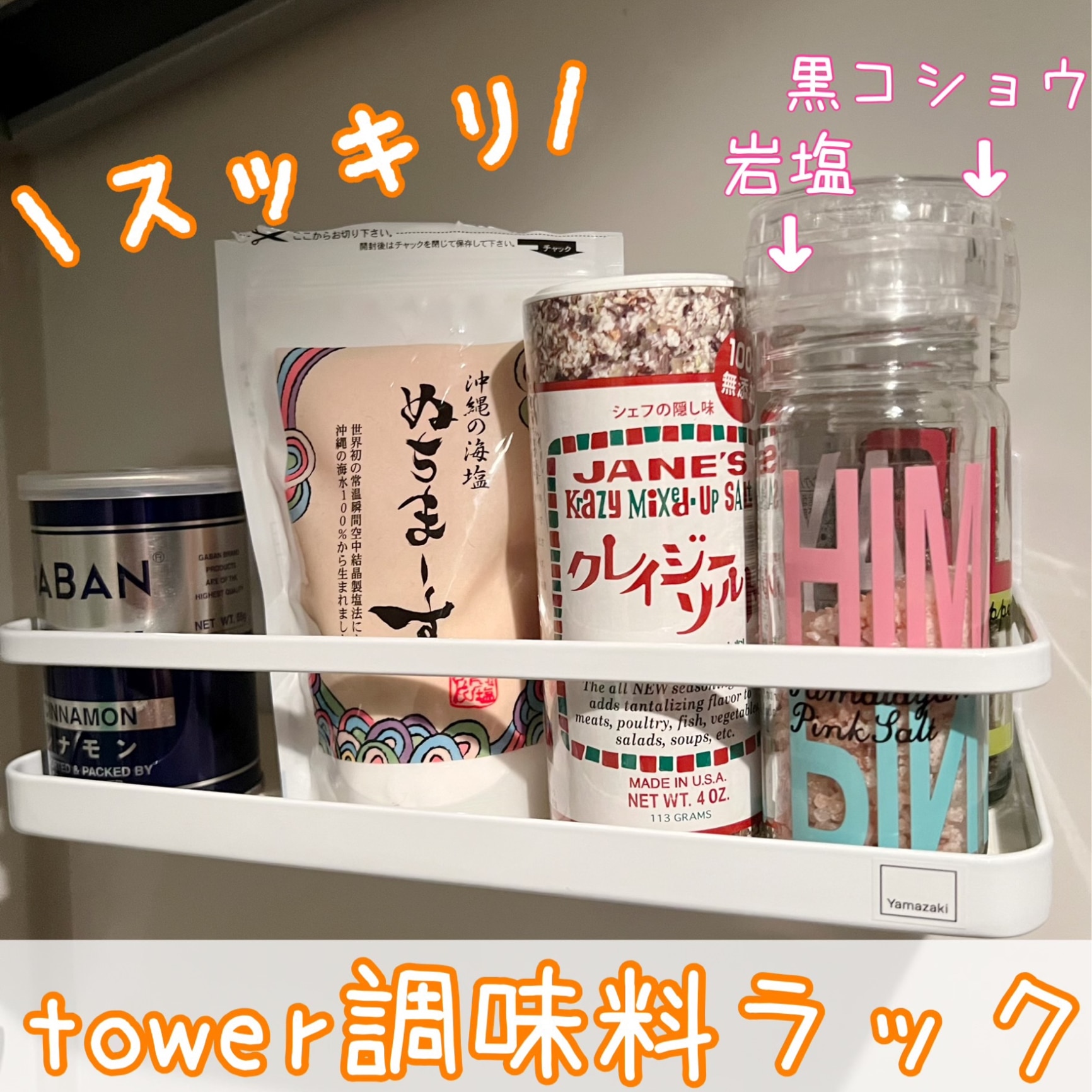 新品】✨山崎実業✨tower(タワー)マグネットスパイスラック『Plate