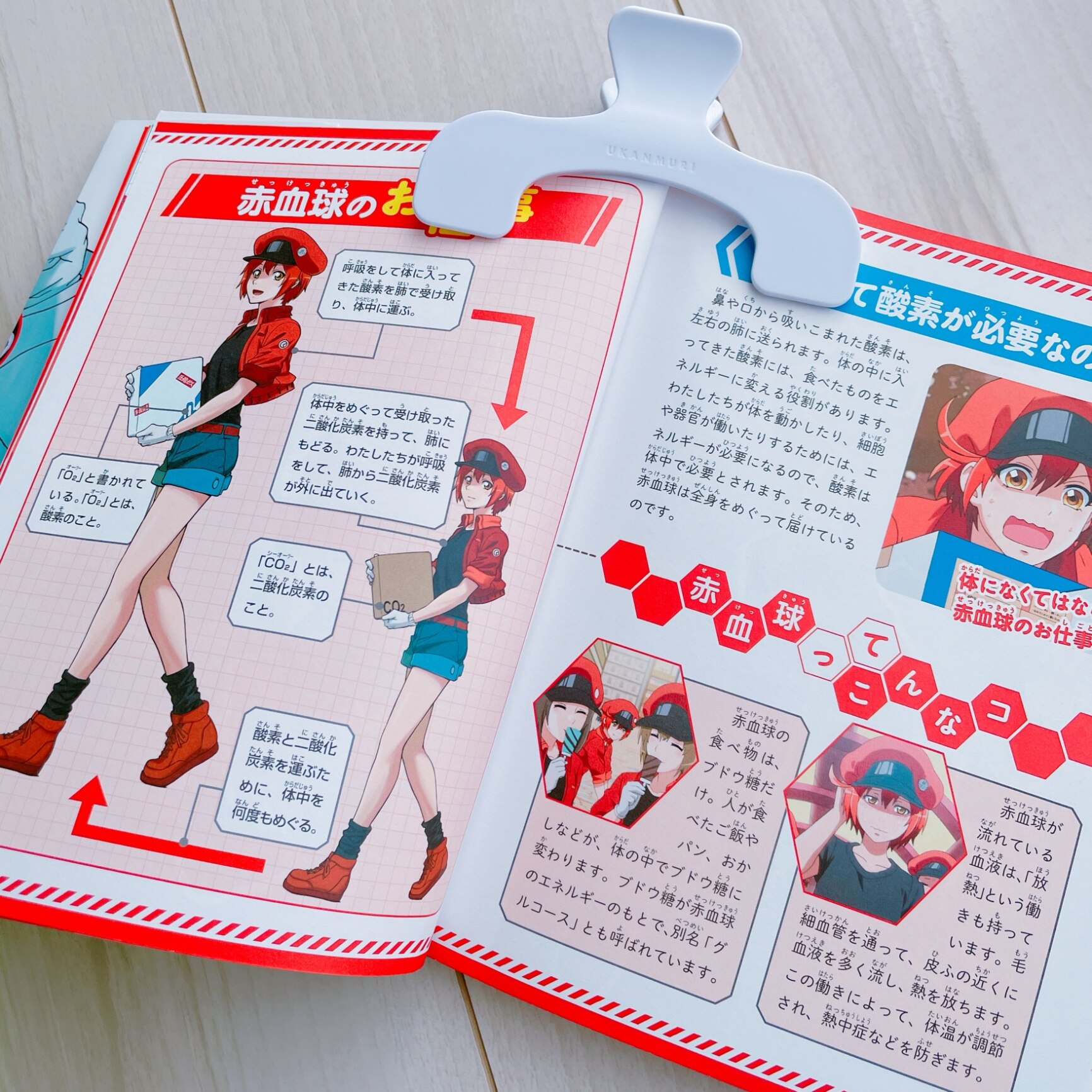 からだのしくみを学べる！ はたらく細胞 人体のふしぎ図鑑 [ 講談社 ]