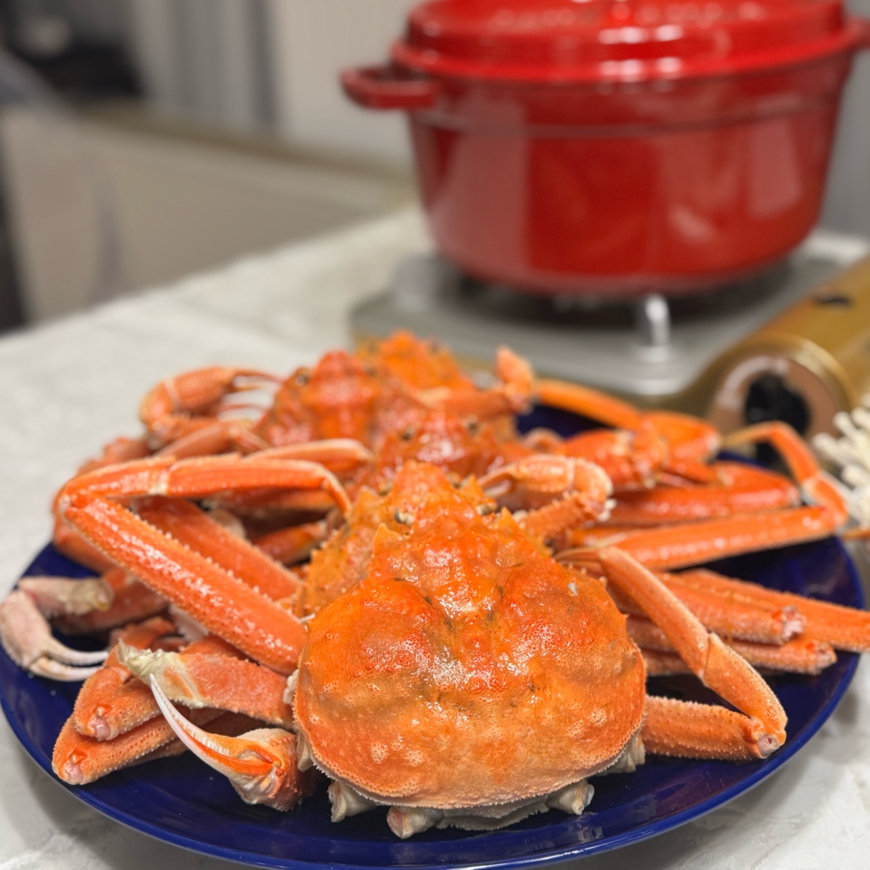 MALIA. 𝑰𝑮@𝑚𝑎𝑙𝑖𝑎_𝑥𝑥𝑥 のROOM - 欲しい! に出会える。