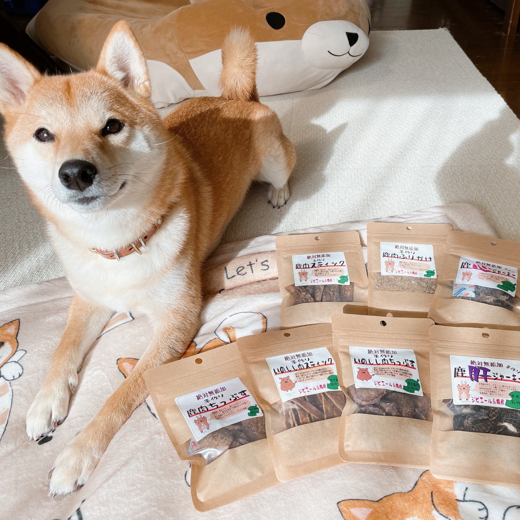 【ふるさと納税】 犬用 おやつ ジビエ ドッグフード 手作り 無添加 鹿肉 猪肉 ジビエフード 奈良県 五條市 犬 ペット おやつ フード