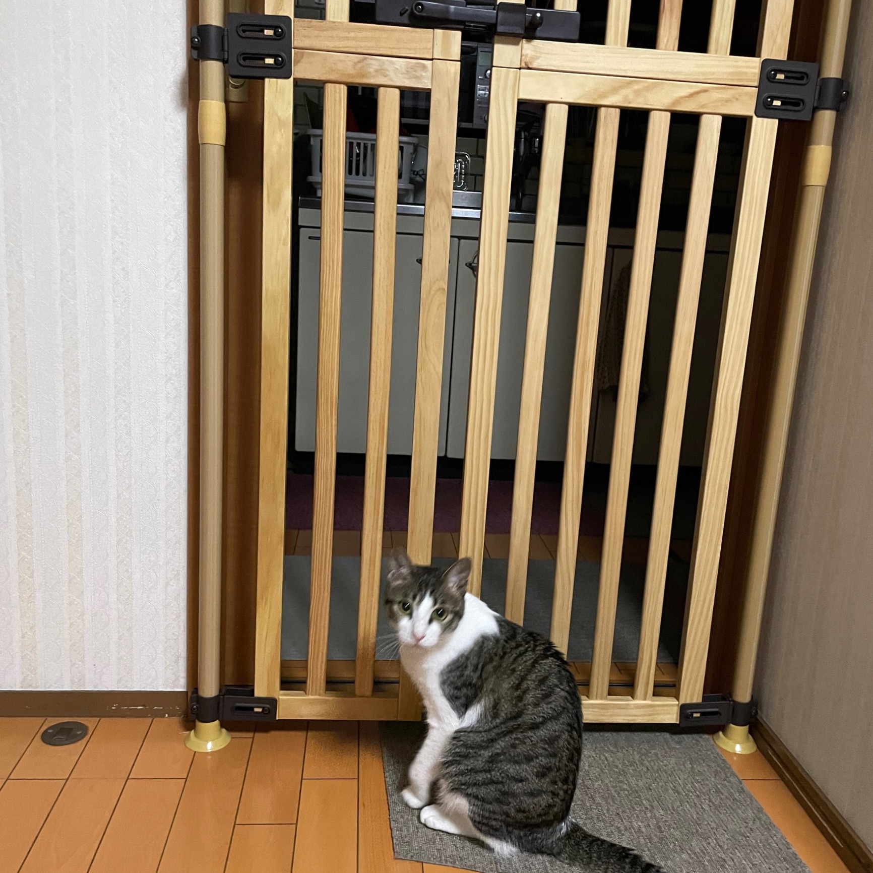 木の のぼれんニャン 猫 脱走防止 猫用 ペットゲート 幅 約76〜89cm 高
