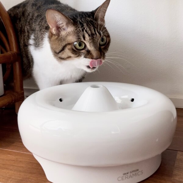 ピュアクリスタル セラミックス 猫用(1台)【2112_mtmr】【ピュア 