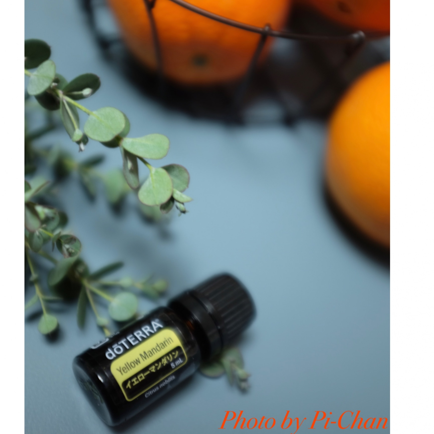 ドテラ】【doTERRA】ドテラ イエローマンダリン Yellow Mandarin 5ml 