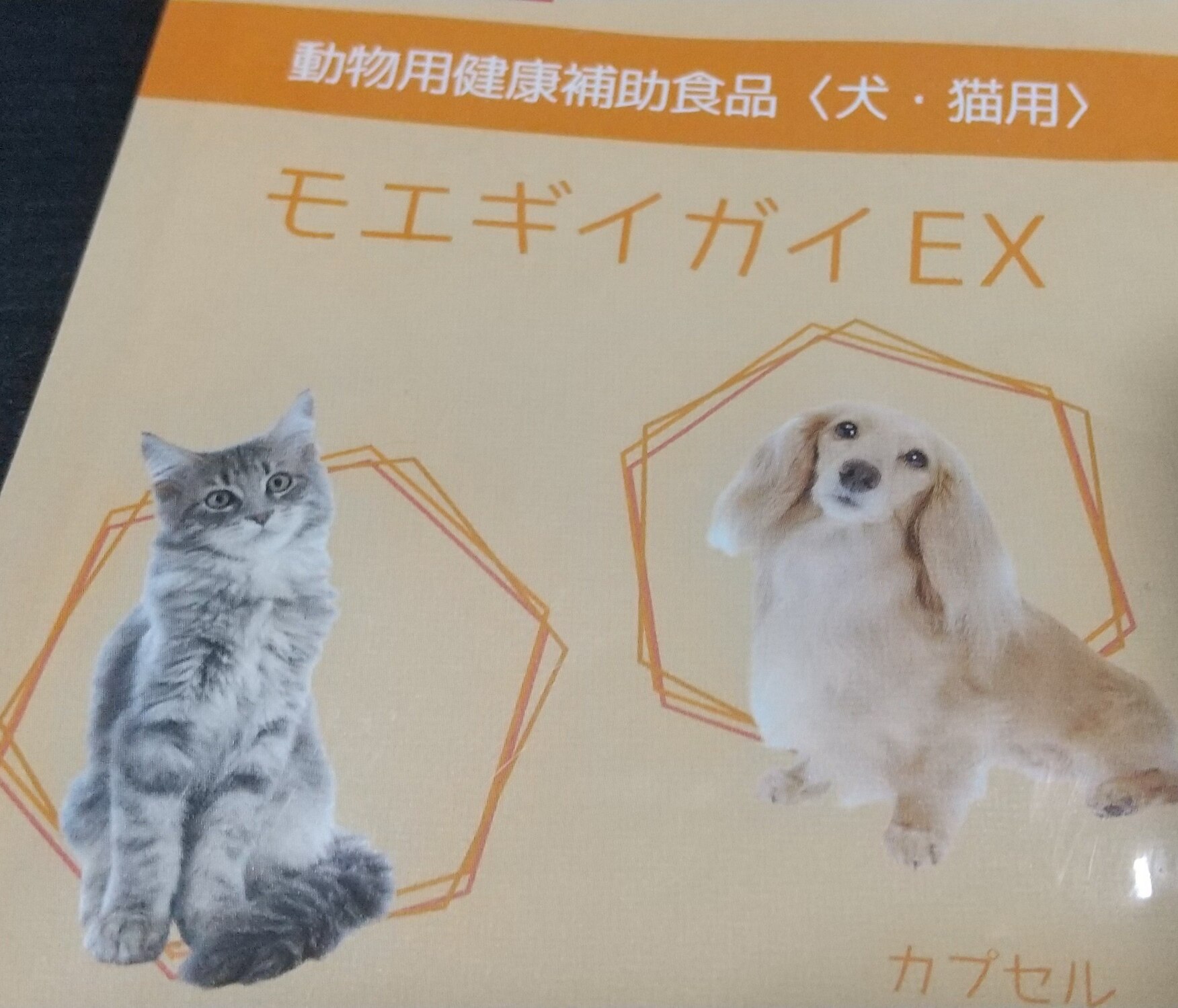 ROOM : 検索結果