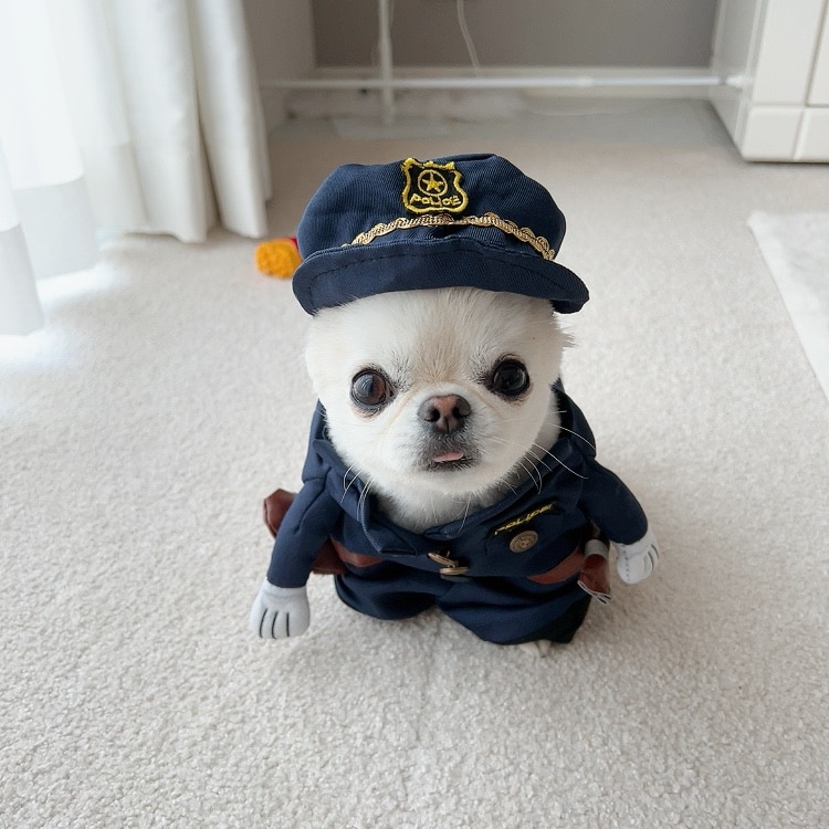 売り切り 犬服 コスプレ 警察官 なりきり ポリスメン 2足歩行 【 変身