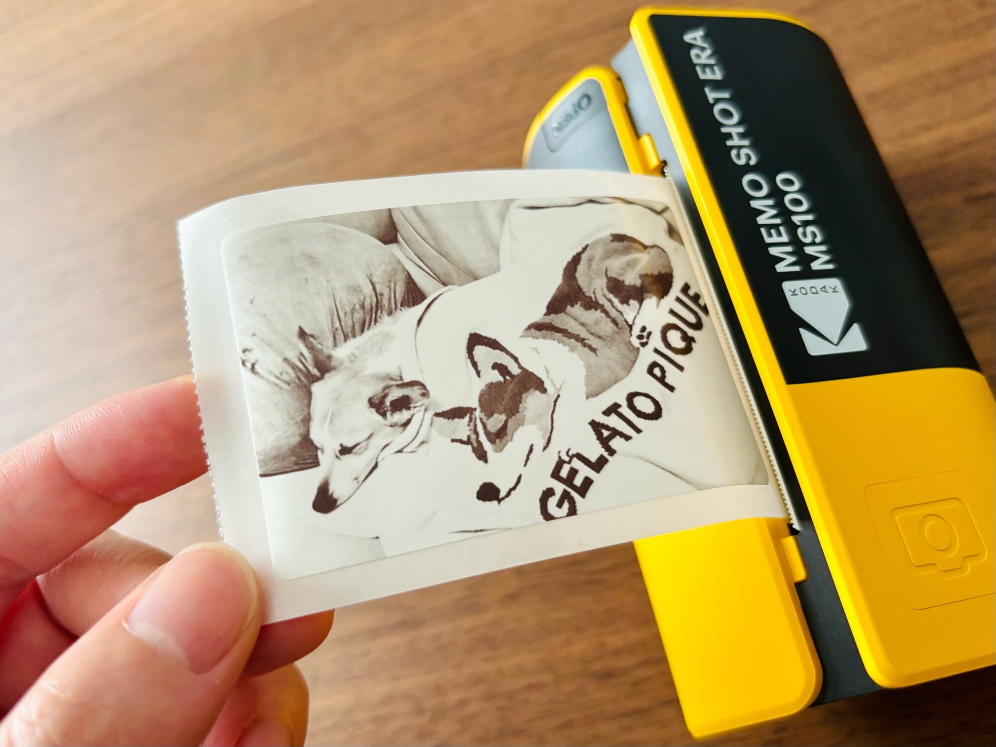 楽天1位獲得／コダック KODAK Memo Shot ERA サーマルプリンター