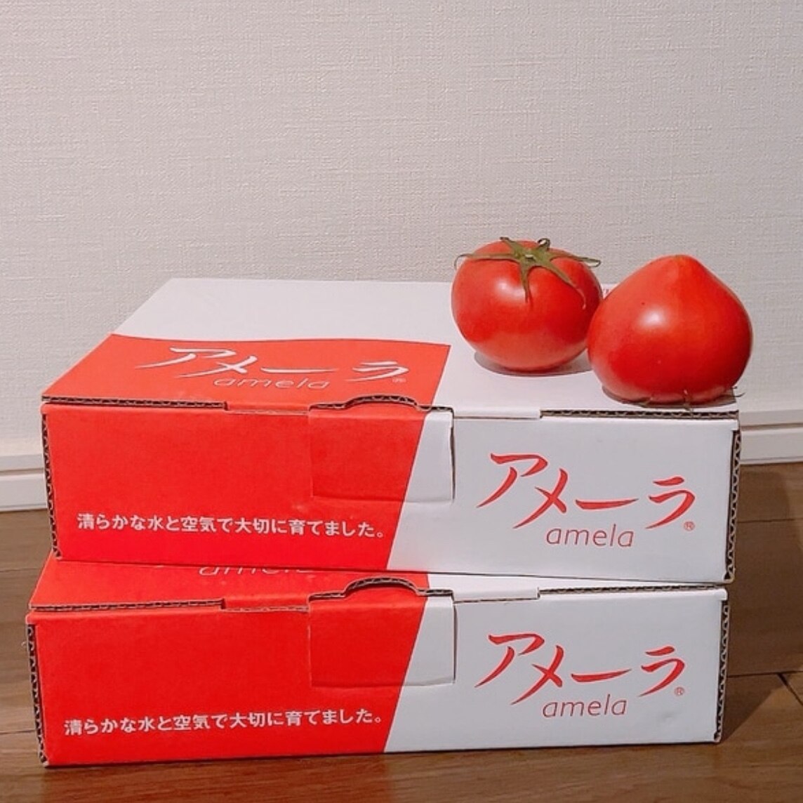 ROOM : 検索結果