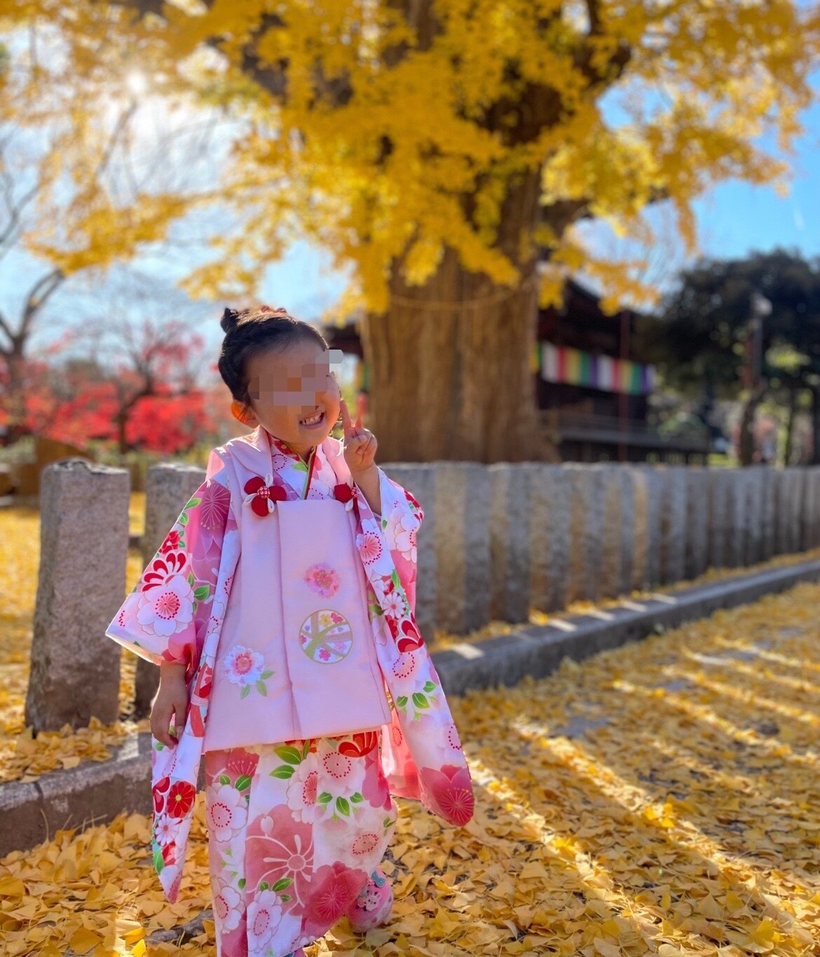 七五三 着物 3歳 女の子 被布セット 京都花ひめ 白地着物 被布ピンク