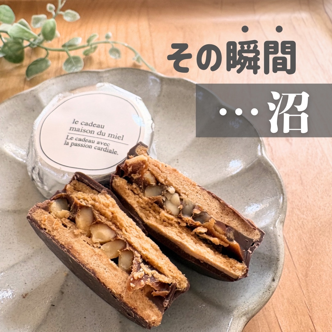 期日指定8月31日までお届け可）もち吉 【送料無料】【通販限定】おやつ