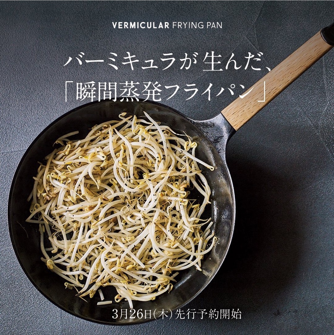 バーミュキュラ vermicular フライパン 24cm オーク材 調理器具 深型