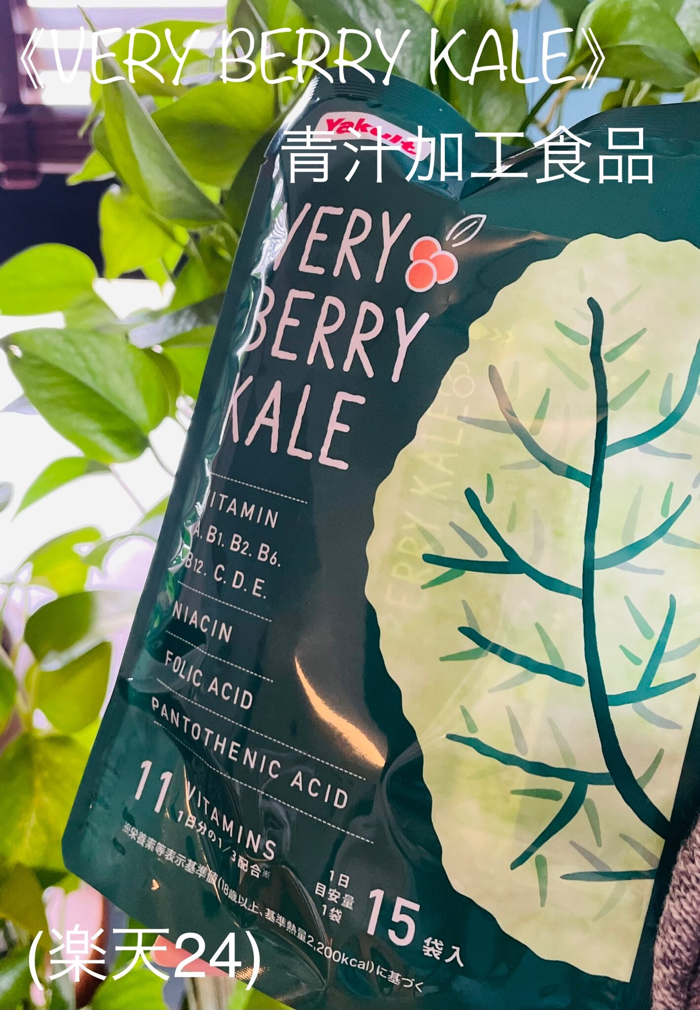 楽天限定】ヤクルト VERY BERRY KALE ベリーベリーケール(3.6g*15袋入