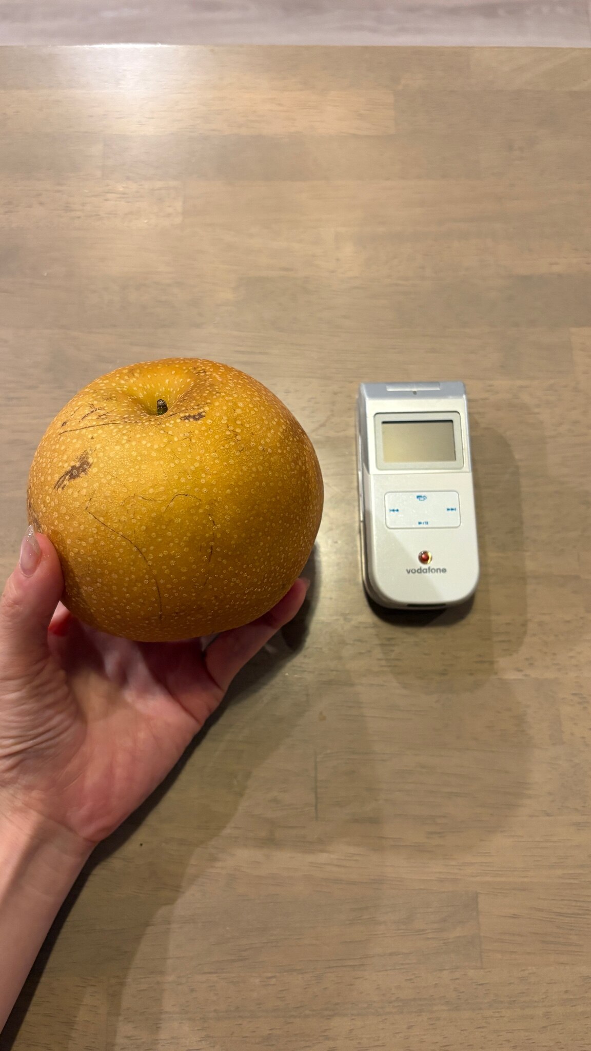 【送料無料】 梨 訳あり 5kg 長野県産 幸水 / 豊水 / 二十世紀 / あきづき / 新高 / 南水 6品種からお好きな梨を選べる！ ご自宅用 お徳用 ご家庭用 | なし 訳あり梨 和梨 ナシ 産地直送 旬の果物 大容量 フルーツ お得 果汁たっぷり 傷あり 変形果 お取り寄せ 信州産