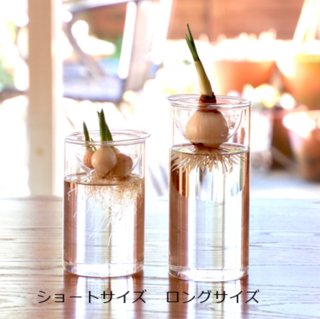 BULB VASE バルブベース 【ロングサイズ】 フラワーベース 水栽培 花瓶 シンプル おしゃれ ガラス ポット ヒヤシンス ムスカリ