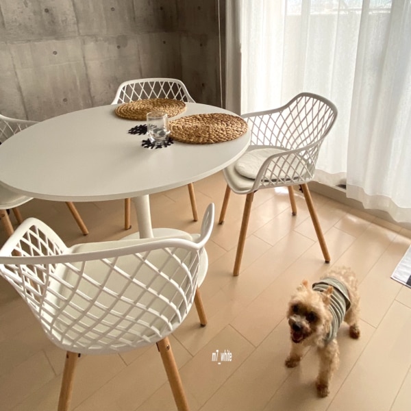 NEW】IKEA ikea イケア DOCKSTA ドクスタテーブル, ホワイト/ホワイト  