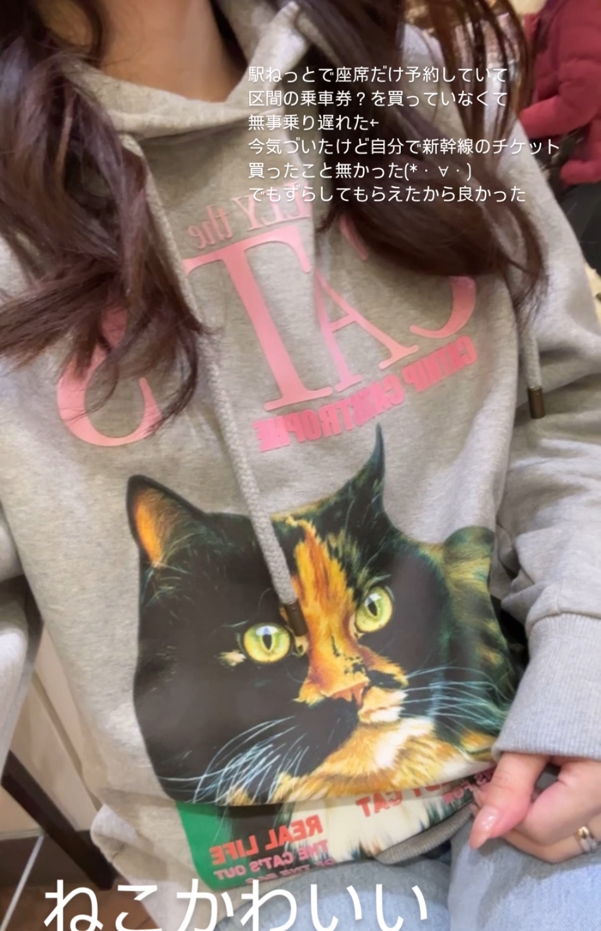 SALE／50%OFF】JW ANDERSON CAT PRINT HOODIE ジェイ ダブリュー
