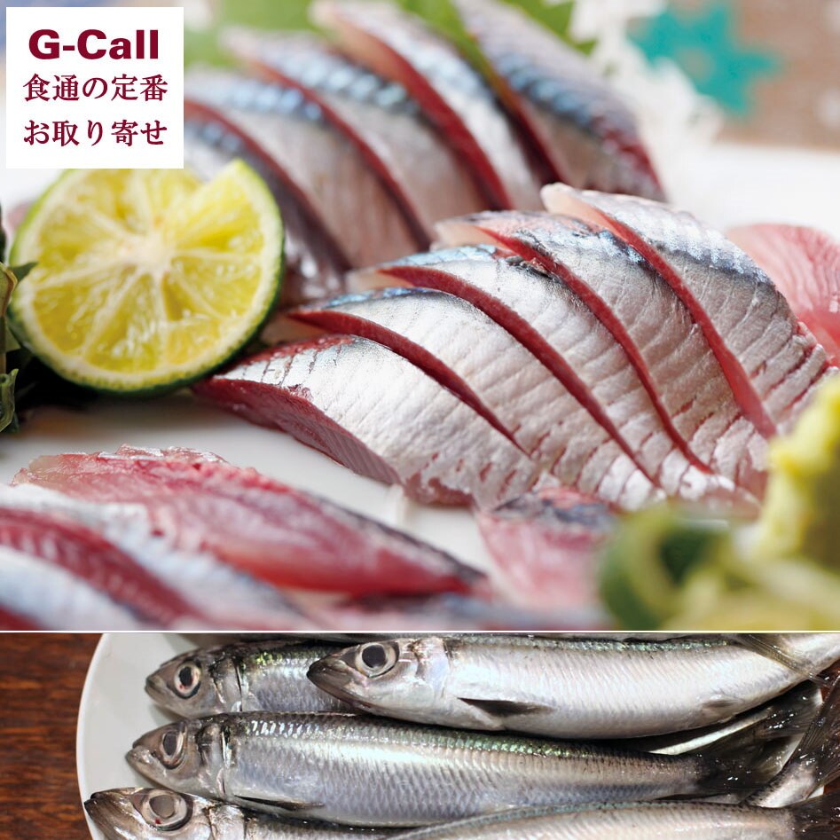 一本釣りうるめいわし 鮮魚 10〜15匹 高知 宇佐もん工房 鰯 イワシ